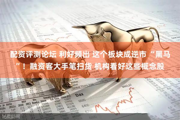 配资评测论坛 利好频出 这个板块成逆市 “黑马”！融资客大手笔扫货 机构看好这些概念股